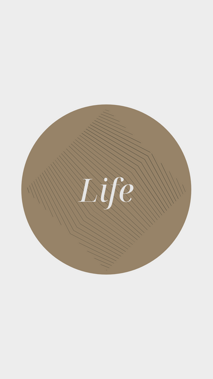 Modern Luxury IG Highlights Template – Canva Editable (8 pack)